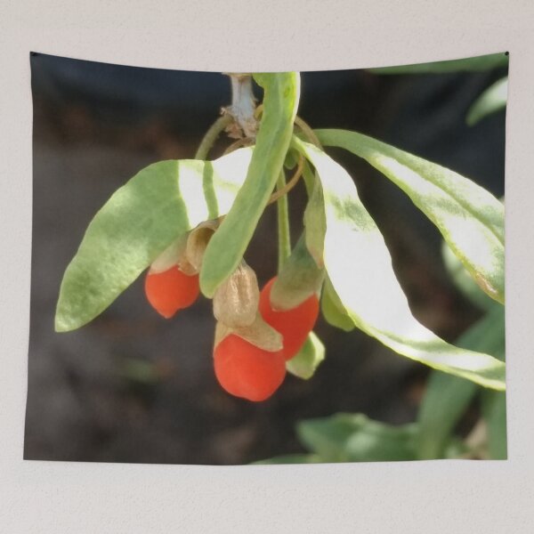 Item preview, Hanging Goji Berry designed and sold by KiQBoutique.