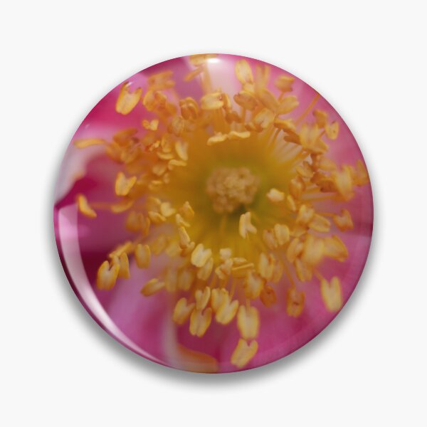 Item preview, A rose is a rose  designed and sold by Angela King Jones.