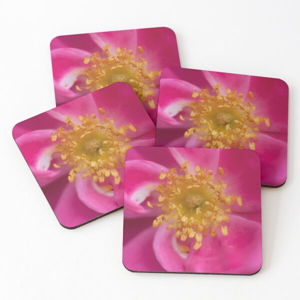 Item preview, A rose is a rose  designed and sold by Angela King Jones.