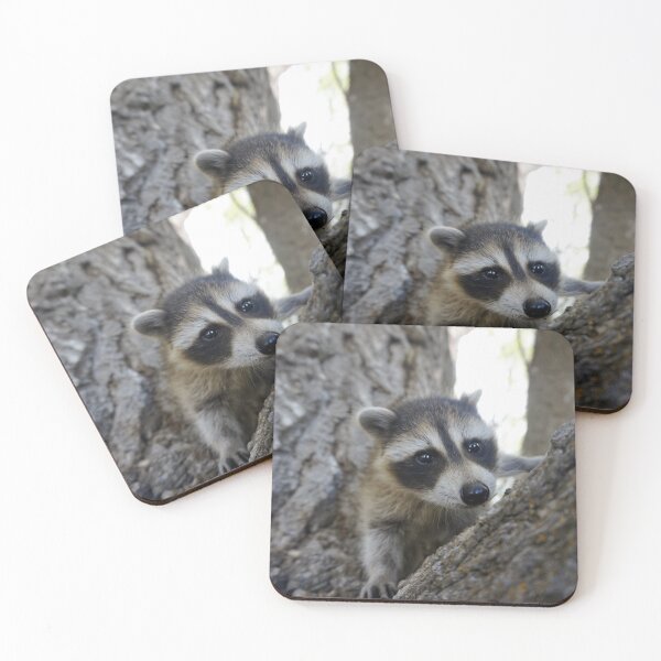 Item preview, Baby Animasl Masked Bandit Raccoon designed and sold by RiffXS.