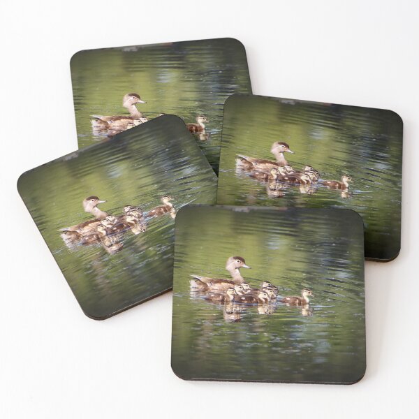 Item preview, Duck family designed and sold by Carol Bock.