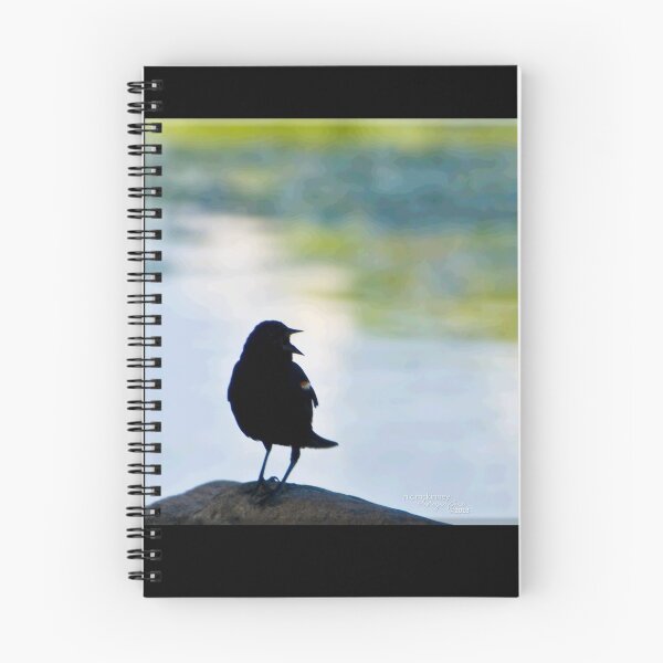 Item preview, Red Winged Blackbird designed and sold by Nicole  McKinney.