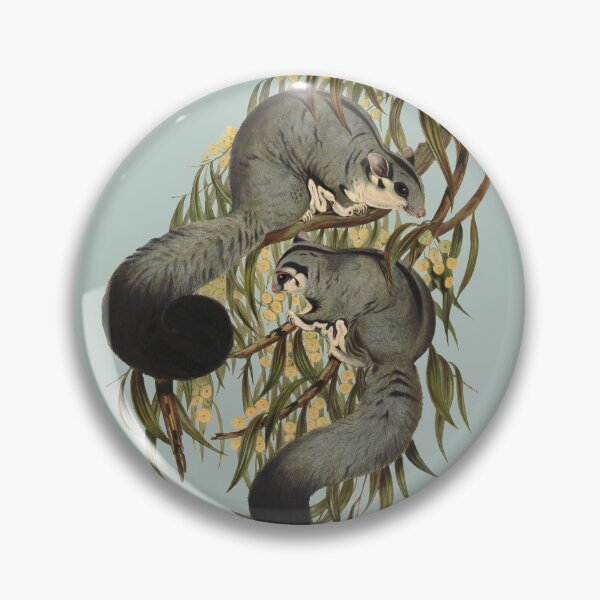 Item preview, Squirrel Glider Possum Illustration designed and sold by karwilberevivalcollection.