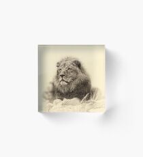 Lion Acrylic Block