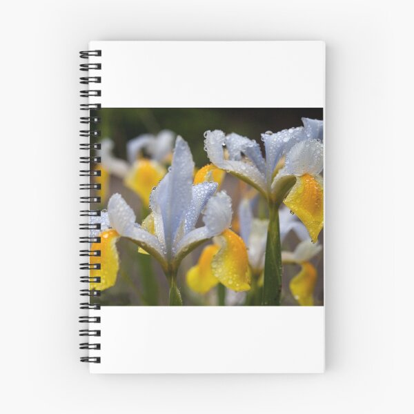 Item preview, Iris Raindrops designed and sold by Jeanne Kinninmont.