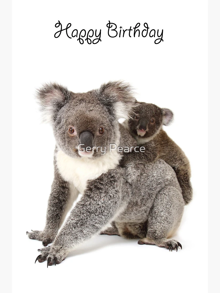 Koala Célèbre La Carte D'anniversaire De La Fête D'anniversaire Contenu  Généré Par L'ia