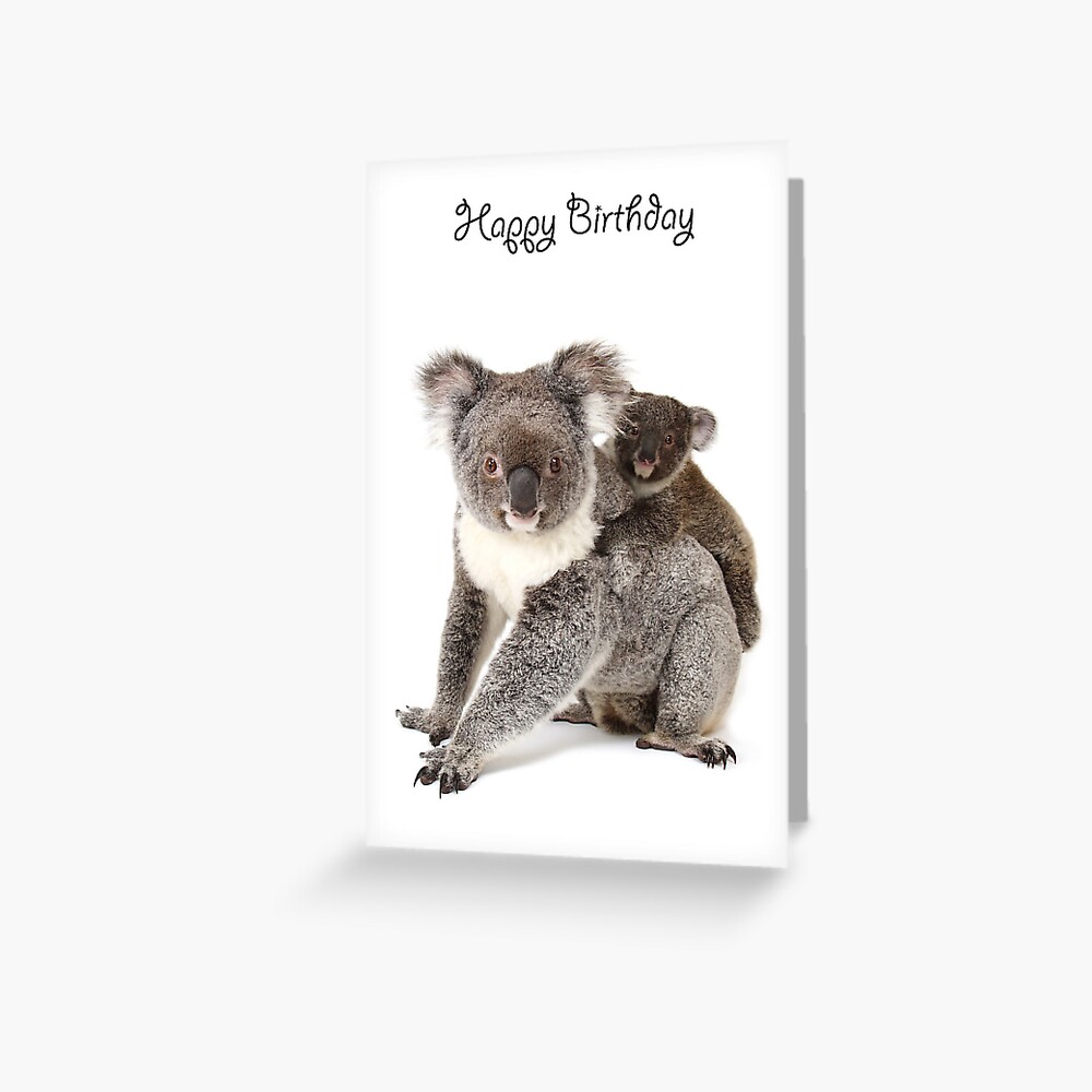 Carte De Vœux Un Koala Joyeux Anniversaire 1p Par Gerryp1 Redbubble