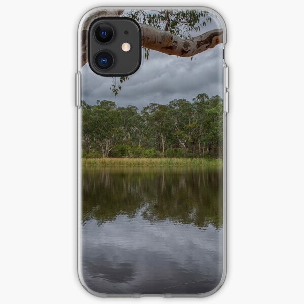 Dunns Swamp iPhone Soft Case