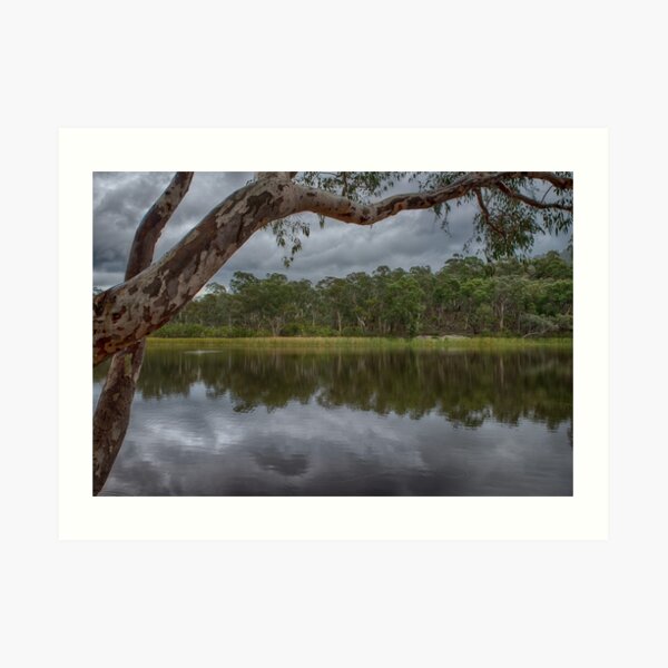 Dunns Swamp Art Print