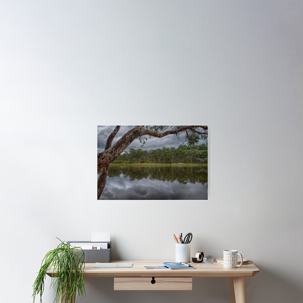 Dunns Swamp Poster