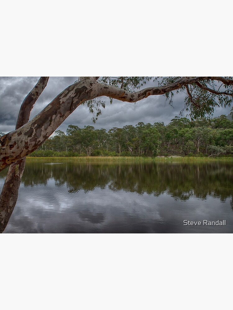 Dunns Swamp by gooner4life