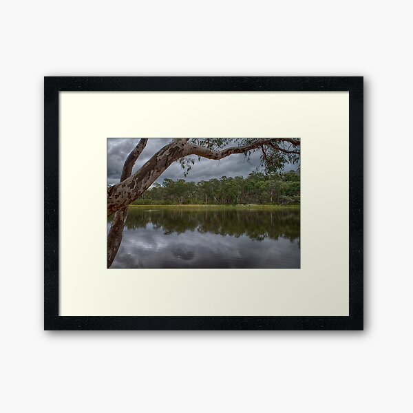 Dunns Swamp Framed Art Print