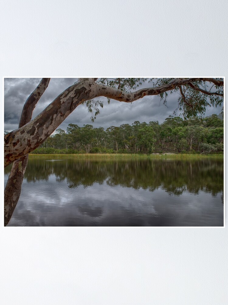 Alternate view of Dunns Swamp Poster