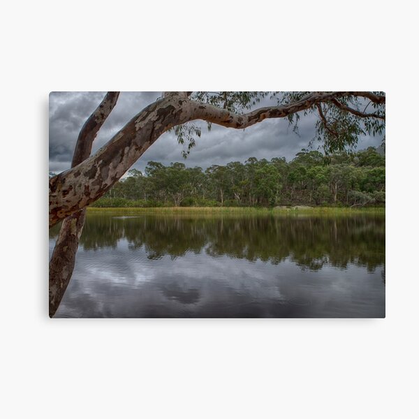 Dunns Swamp Canvas Print