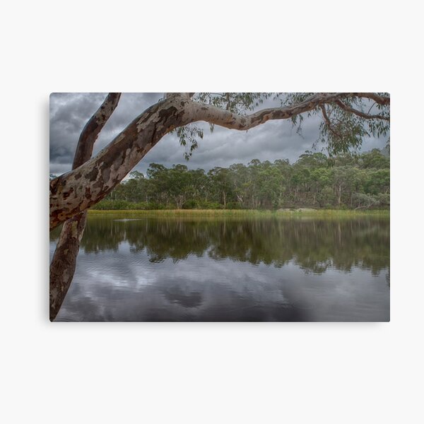 Dunns Swamp Metal Print