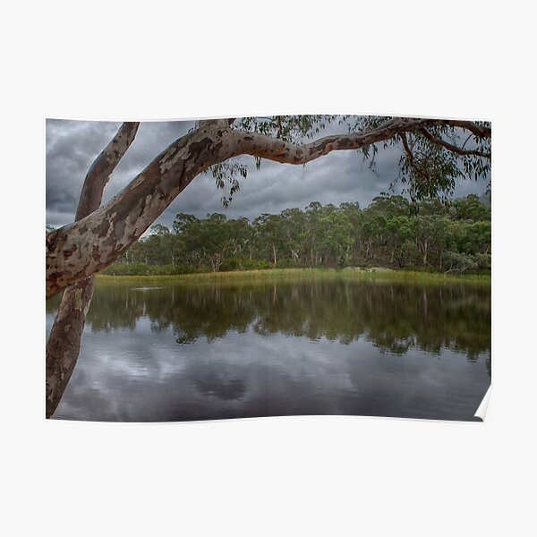 Dunns Swamp Poster
