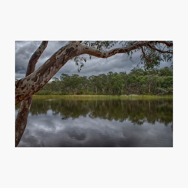 Dunns Swamp Photographic Print