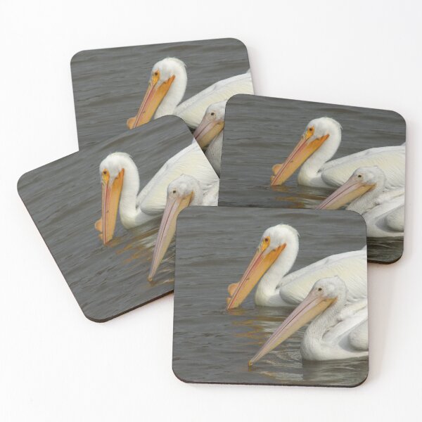 Item preview, Male & Female American White Pelicans (Pelecanus erythrorhynchos) with Breeding Horn/Coloration designed and sold by Inuyasha907.