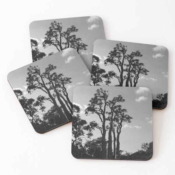 Item preview, Exotic Tropical Trees Silhouette, Socotra Island designed and sold by worldways.