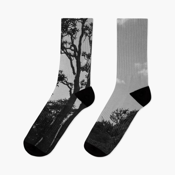 Item preview, Exotic Tropical Trees Silhouette, Socotra Island designed and sold by worldways.