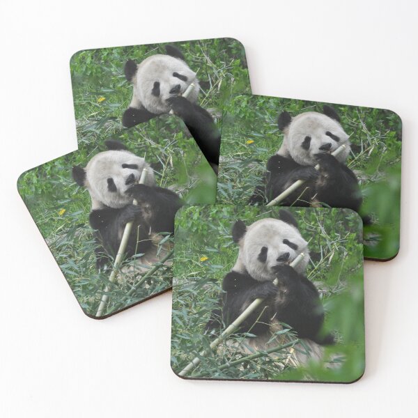 Item preview, Tian Tian - National Zoological Park (United States) designed and sold by Matsumoto.