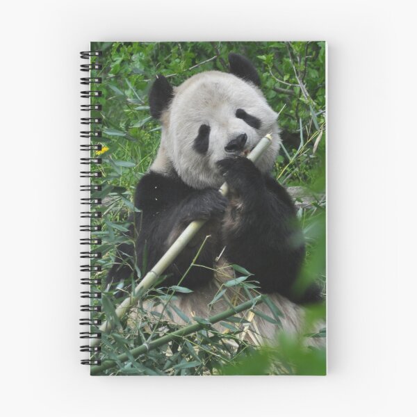 Item preview, Tian Tian - National Zoological Park (United States) designed and sold by Matsumoto.