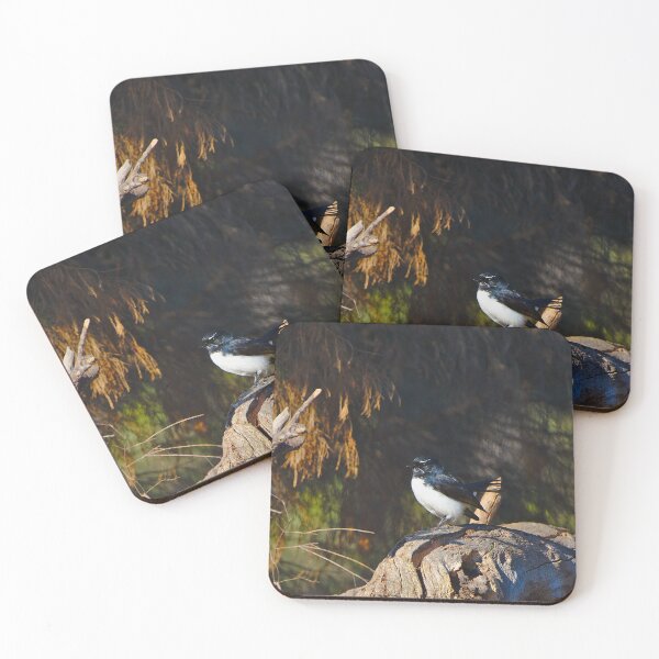 Item preview, Birds A willie wagtail bird in the low sun - landscape designed and sold by Jason Gilbert.