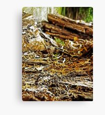 Decayed Canvas Print