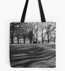 Spring in Gostwyck Tote Bag