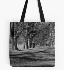 Majesty of Gostwyck Tote Bag