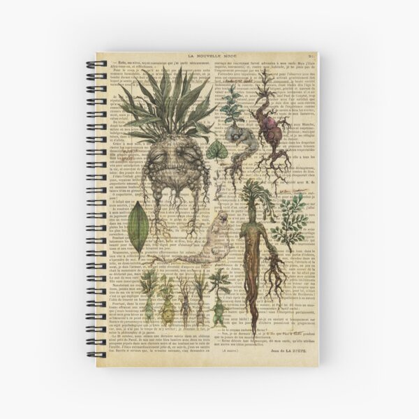 Botanical print, on old book page - Mandragora Spiral Notebook