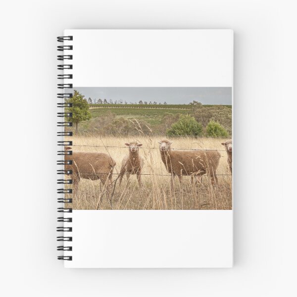 Item preview, Ewe Looking at Me? designed and sold by Jeanne Kinninmont.