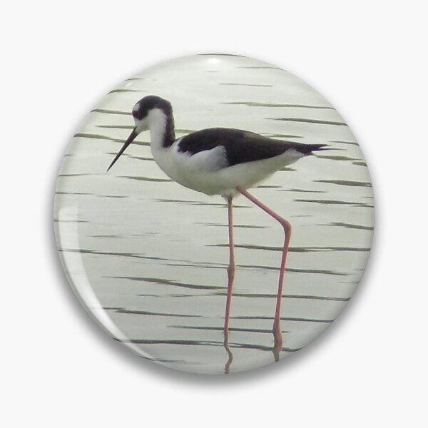 Item preview, Black-Necked Stilts Foraging  designed and sold by Inuyasha907.