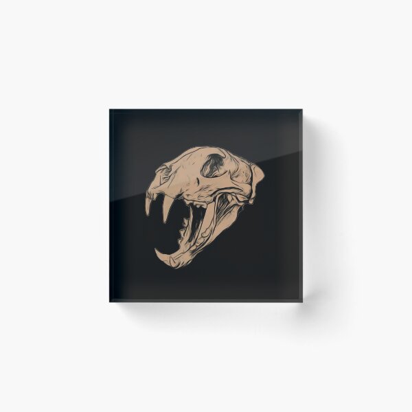 Item preview, Clouded Leopard Skull designed and sold by Noah357.