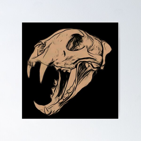 Item preview, Clouded Leopard Skull designed and sold by Noah357.