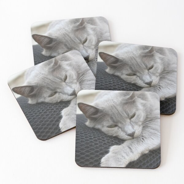 Item preview, Lazy Grey Cat Photo Portrait designed and sold by taiche.