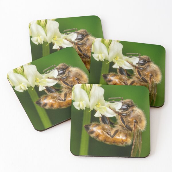 Item preview, Bee on Clover designed and sold by SorryToBugYou.