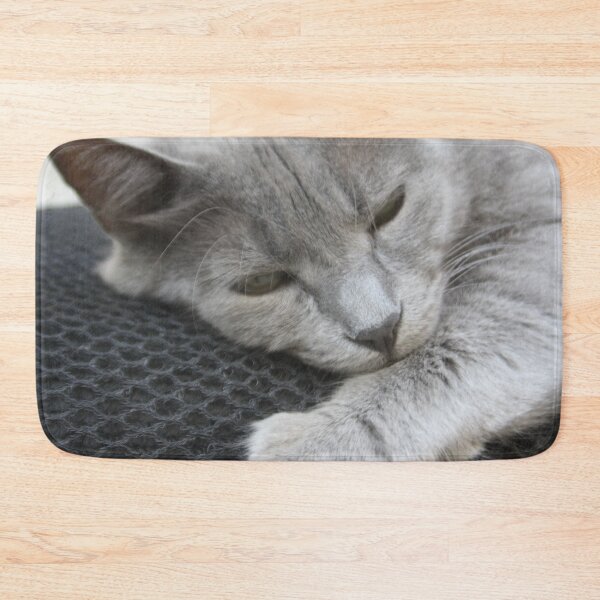 Item preview, Lazy Grey Cat Photo Portrait designed and sold by taiche.