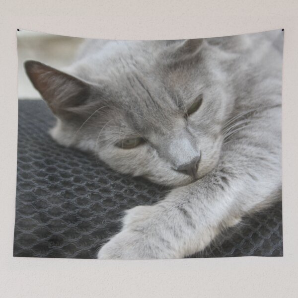 Item preview, Lazy Grey Cat Photo Portrait designed and sold by taiche.