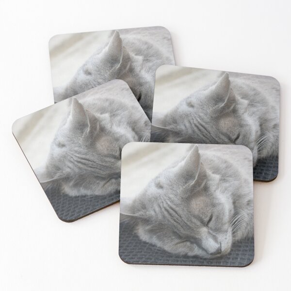 Item preview, Beautiful Grey Cat Sleeping Photograph designed and sold by taiche.