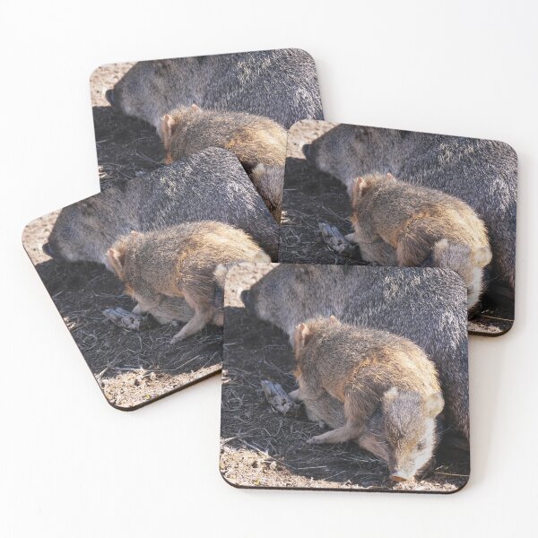 Item preview, Baby Javelinas Play Beside Mom designed and sold by MomentofPercep.