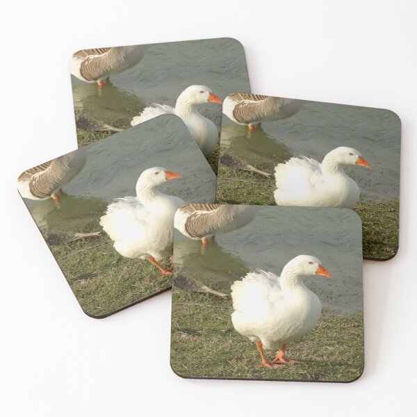 Item preview, Female Blue-eyed Chinese Goose (Anser cygnoides) designed and sold by Inuyasha907.