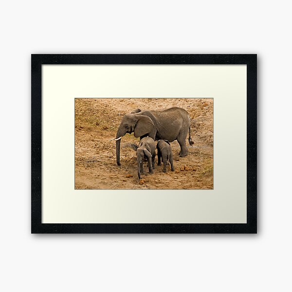 Birds' eye view (II) Framed Art Print
