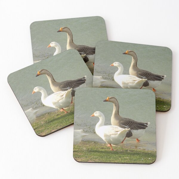 Item preview, Male and Female Chinese Geese (Anser cygnoides) designed and sold by Inuyasha907.