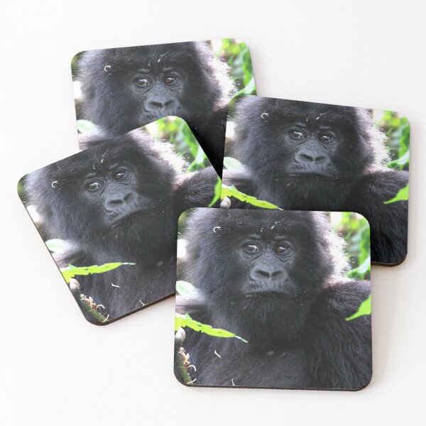 Item preview, "What are you going to do to me?" Juvenile Mountain Gorilla designed and sold by Carole-Anne.