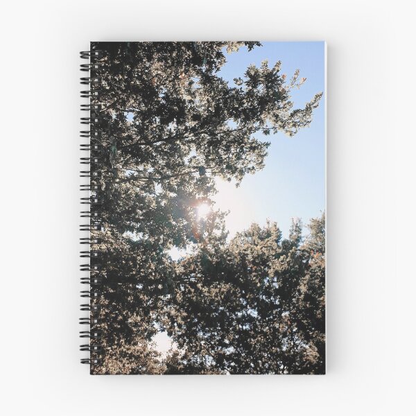 Item preview, Sunlight peaking through the trees designed and sold by mraeli.