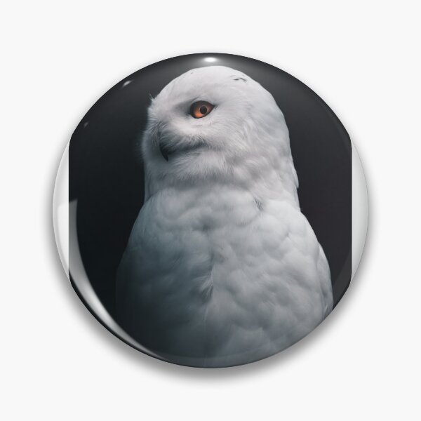 Item preview, Magic owl designed and sold by atichot5.