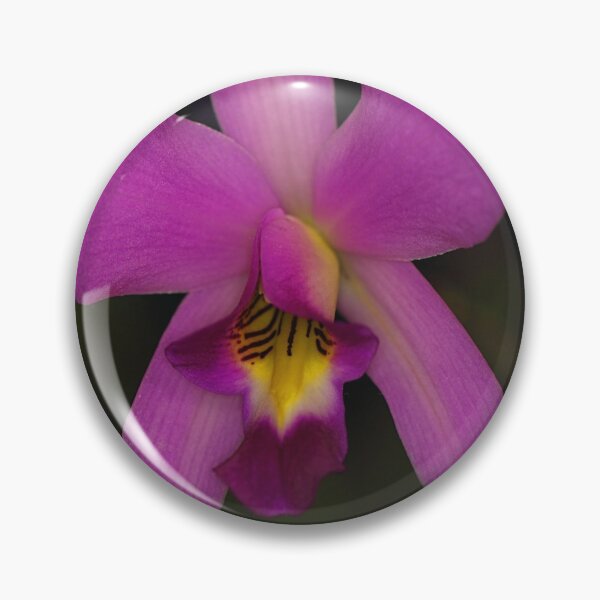 Item preview, Orchid Closeup designed and sold by Carole-Anne.