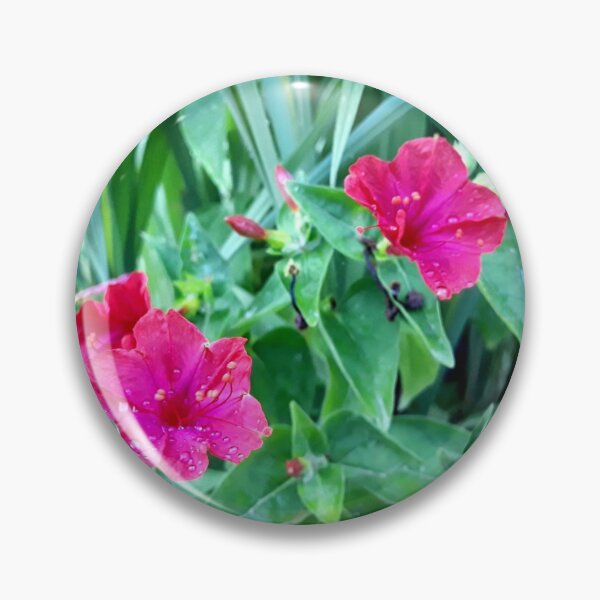 Artikelvorschau,  Besonderer Dank geht an meinen Freund, der der Typ für Spezialeffekte ist und die Blumen gießt. entworfen und verkauft von Cavity .exe.