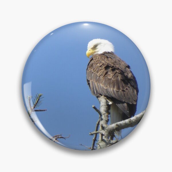 Item preview, EAGLE WITH ATTITUDE designed and sold by Elaine Bawden.